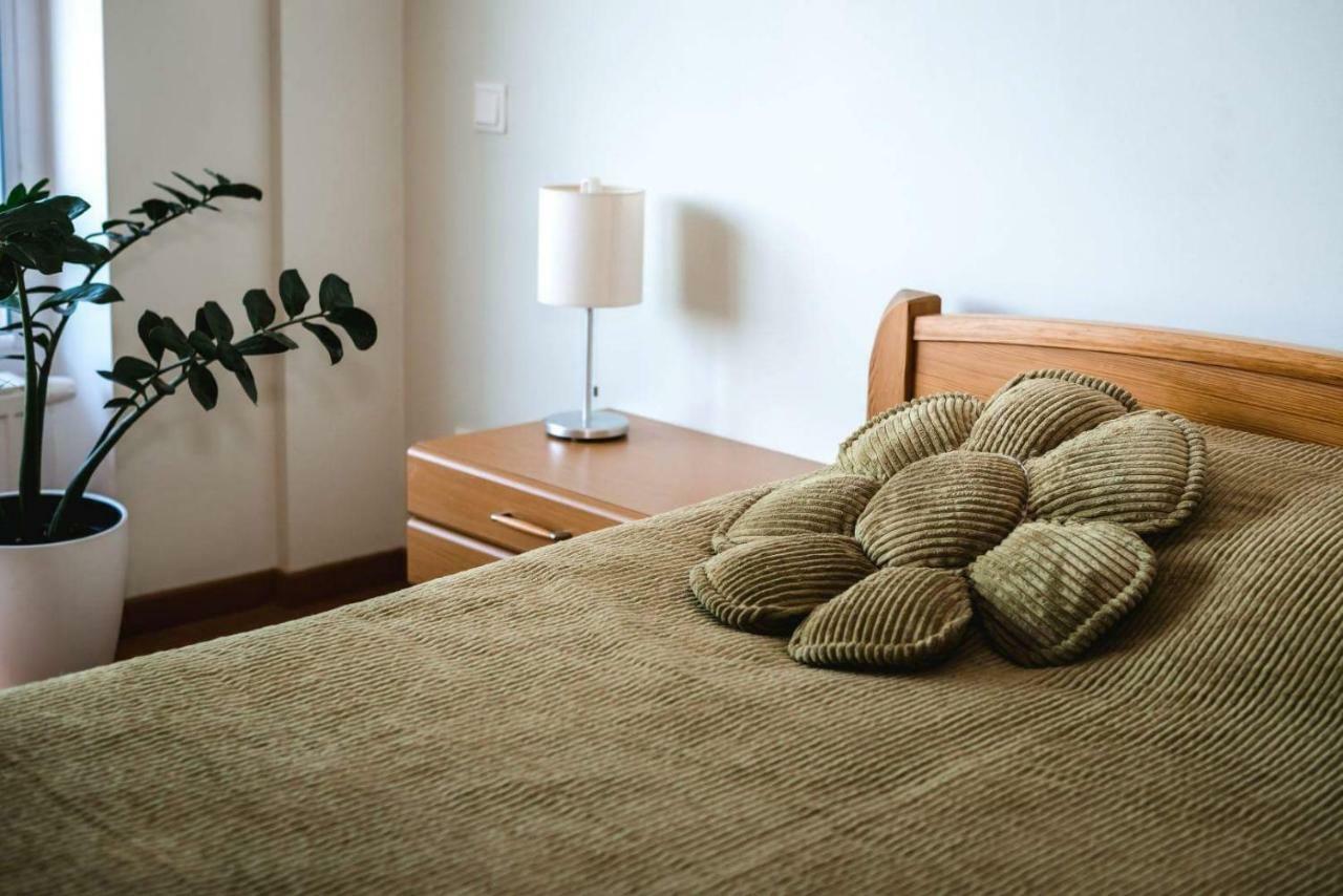 New Apartament Very Close To The City Centre ヴィリニュス エクステリア 写真
