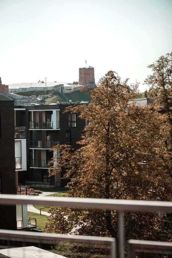 New Apartament Very Close To The City Centre ヴィリニュス エクステリア 写真